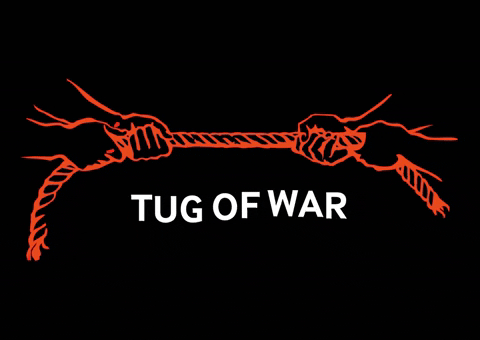 💸 Shutdown vs Jobs Report